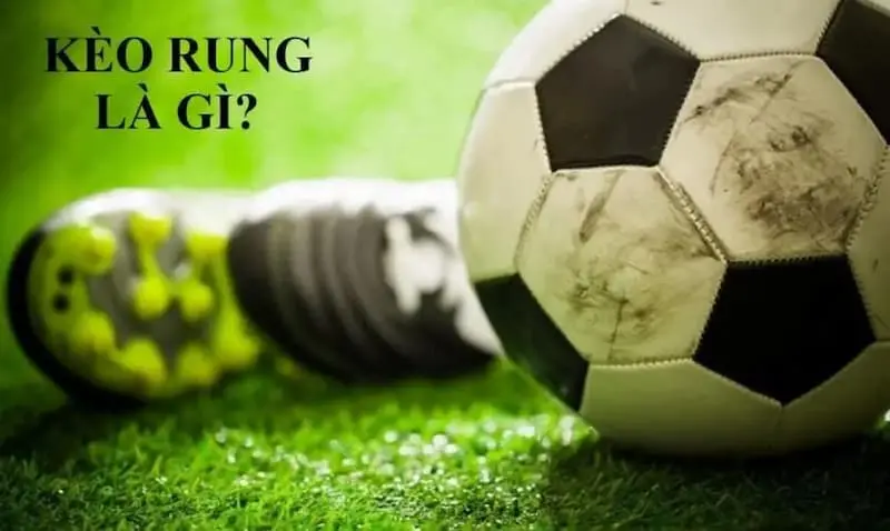 Đặc điểm của kèo rung