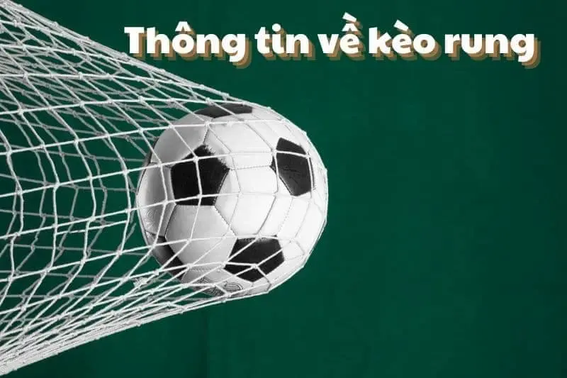 Mẹo chơi kèo rung hiệu quả từ cao thủ